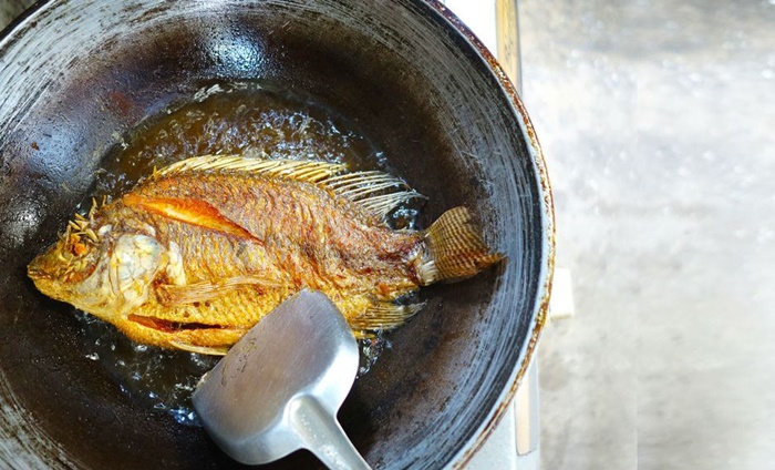 Balık Saklama Ve Pişirme Önerileri