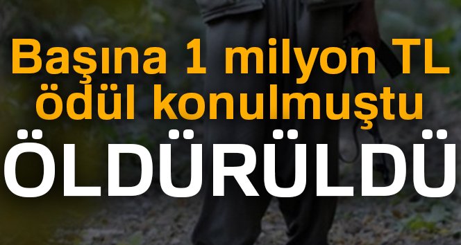 Son Dakika! Başına 1 Milyon Lira Ödül Konulan PKK'lı Terörist Öldürüldü!