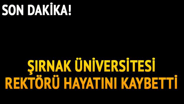 Son Dakika! Kalp Krizi Geçiren Şırnak Üniversitesi Rektörü Hayatını Kaybetti!