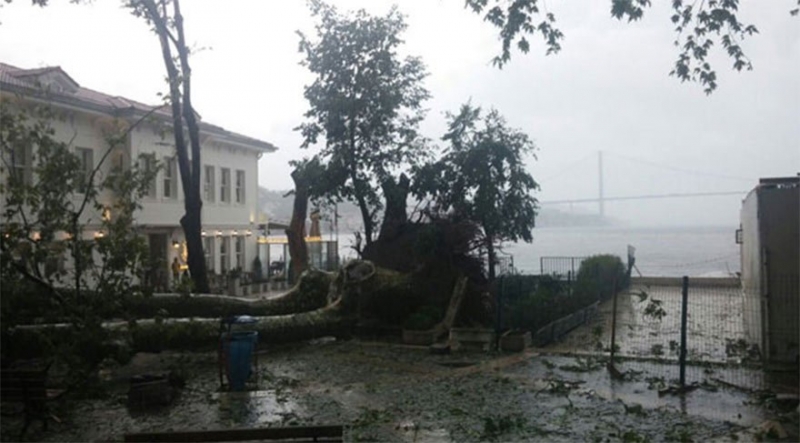 Tarihi Çınaraltı Meydanı Çınarsız Kaldı! İstanbul'da Fırtına Tarihi Çınaraltı'daki Çınarı da Devirdi!