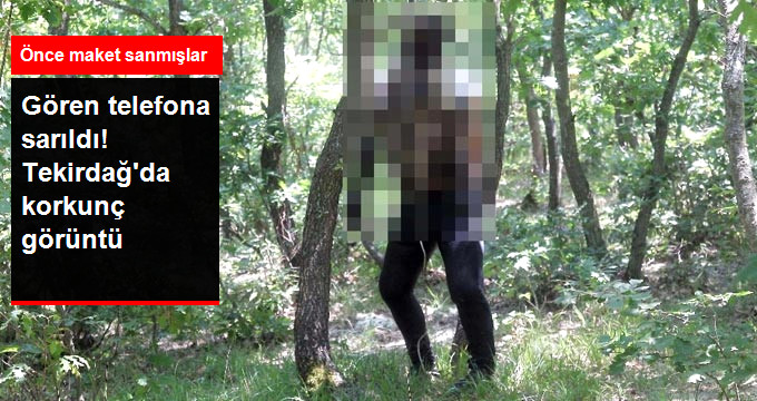 Tekirdağ'da Korkunç Olay! Ağaca Asılı Erkek Cesedini Gören Telefona Sarıldı