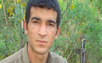 Ağrı'da Öldürülen PKK'lı Bakın Kim Çıktı!