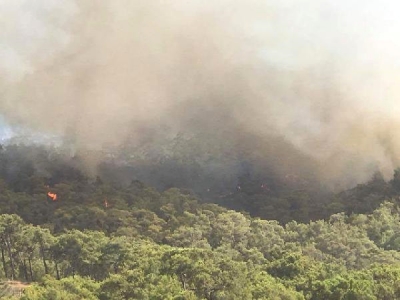 Fethiye'de Orman Yangını! Rüzgarın da Etkisi ile Alevler Yayıldı!