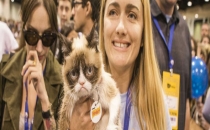 Huysuz Kedisi Sayesinde Hayatı Değişti
