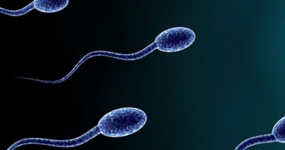 İnsanlığı Tehdit Eden Tehlike! Batılı Ülkelerde Sanayileşme Arttıkça Erkeklerde Sperm Sayısı Düşüyor!