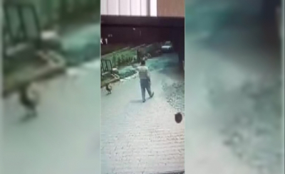 İstanbul’da Şaşırtan Görüntü! Telefonla Konuşurken Horoz Saldırdı, Kendisini Yerde Buldu