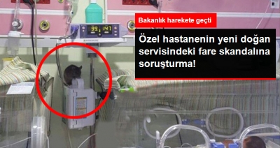Sağlık Bakanlığı Özel Hastanenin Yenidoğan Servisindeki Fare Skandalına İlişkin Soruşturma Başlattı
