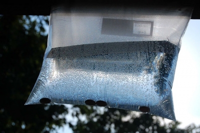  Yaz Aylarında Pencerenize Plastik Poşet Asın Sivrisineklerden Kurtulun